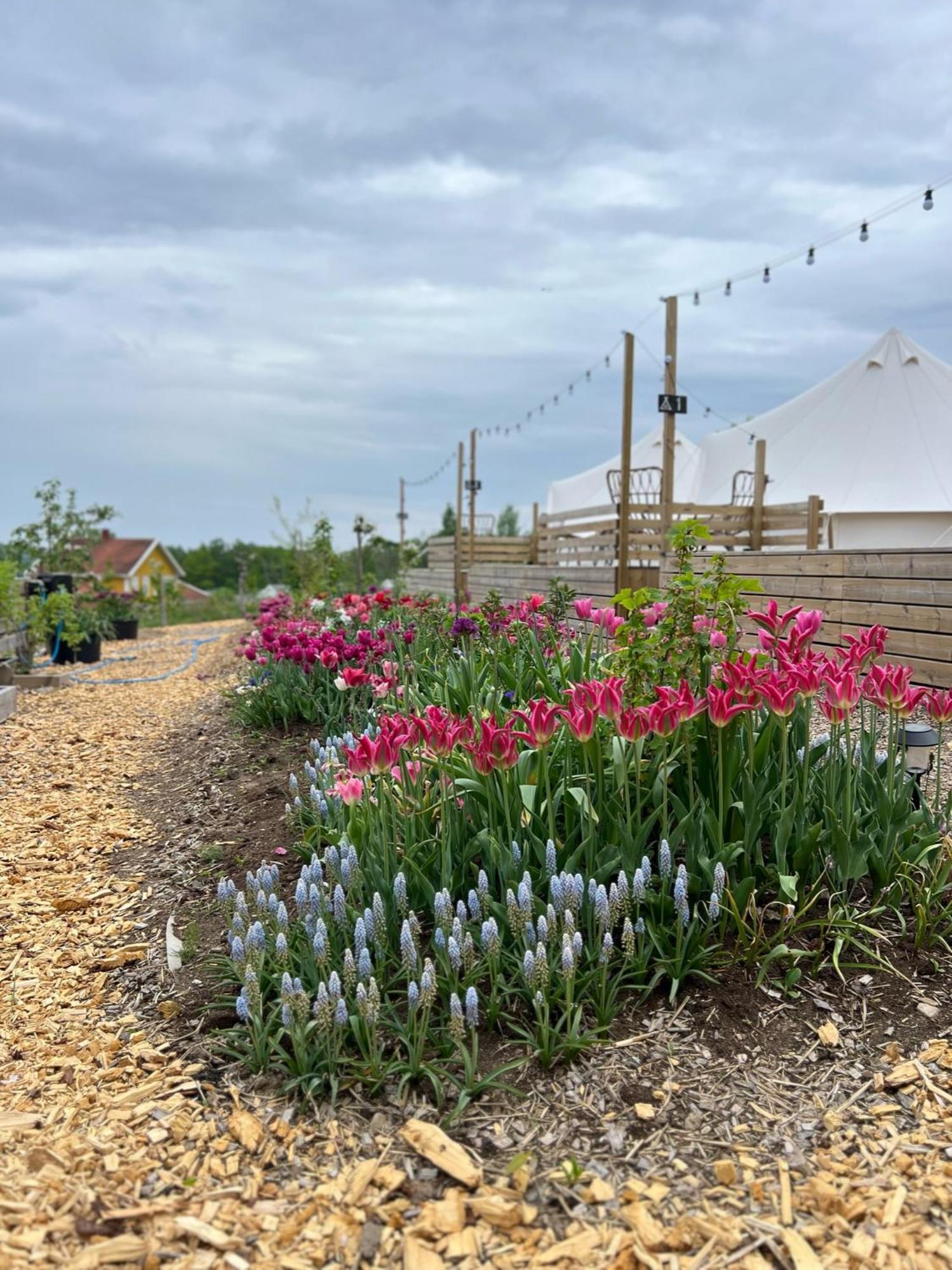 Vaettervy Glamping Hotel Habo ภายนอก รูปภาพ