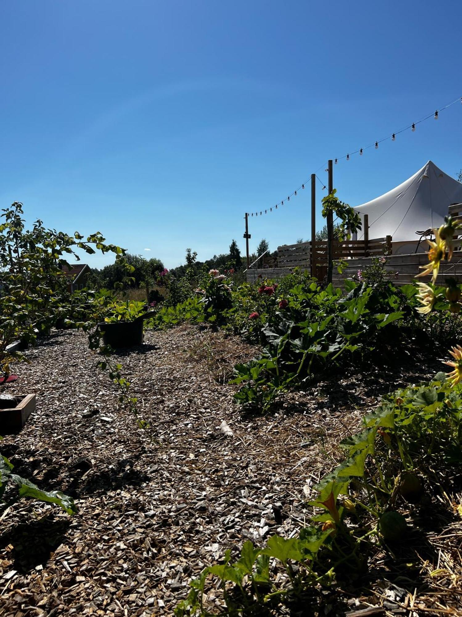 Vaettervy Glamping Hotel Habo ภายนอก รูปภาพ