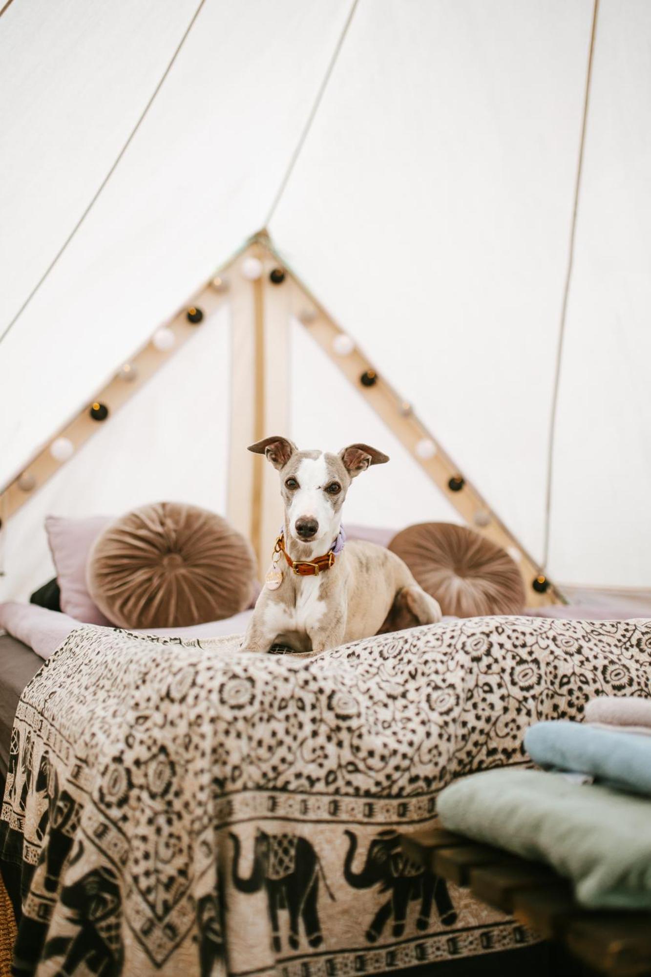 Vaettervy Glamping Hotel Habo ภายนอก รูปภาพ